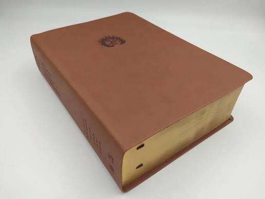 BIBLIA DE ESTUDIO DE LA REFORMA-CAFÉ