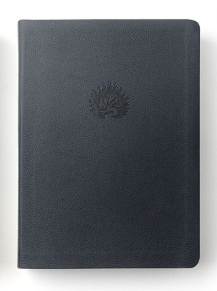 BIBLIA DE ESTUDIO DE LA REFORMA-AZUL