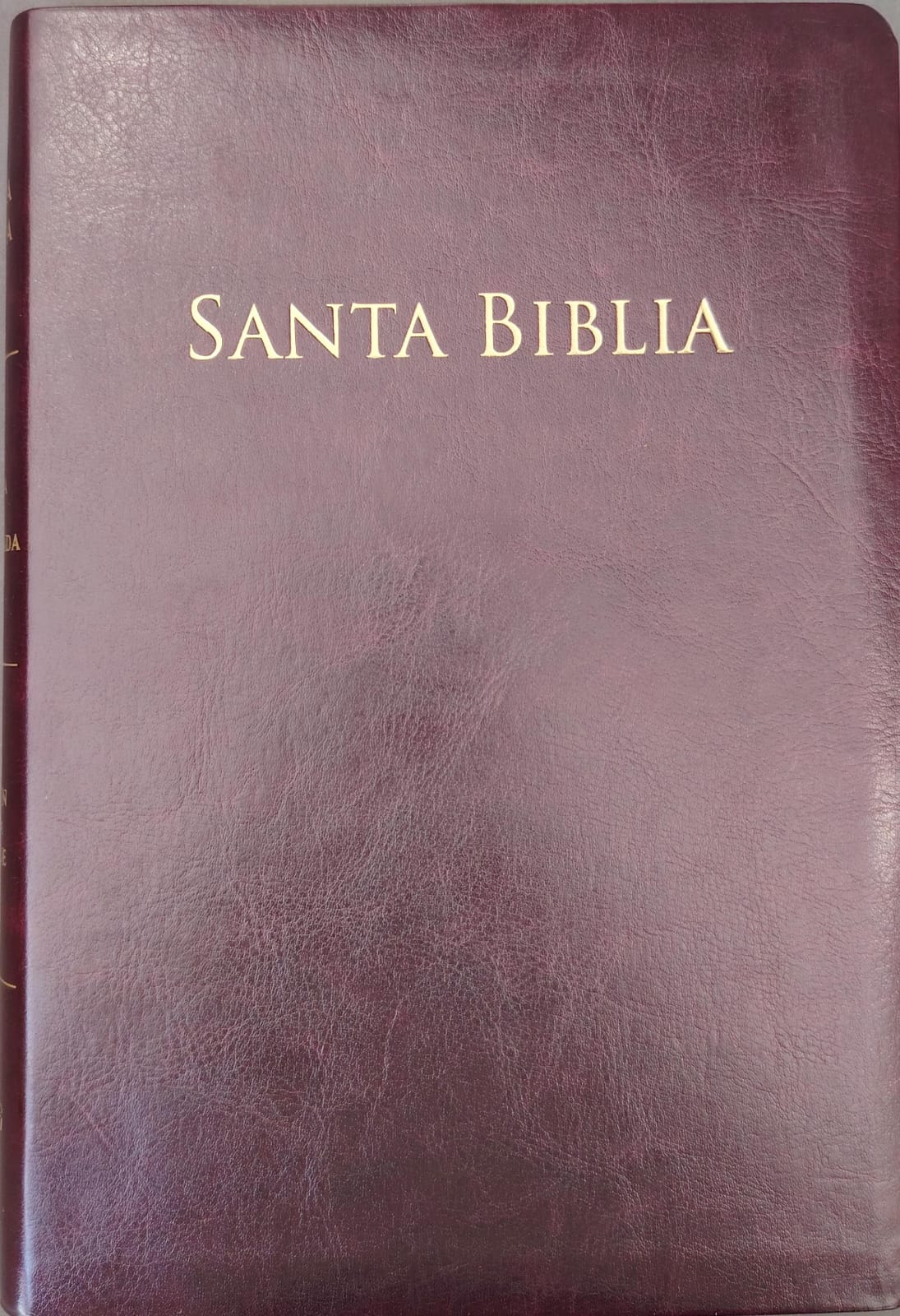 SANTA BIBLIA REINA VALERA 1602 PURIFICADA LETRAS GRANDES IBBG COLOR BORGONA MEDIANA SIN INDICE