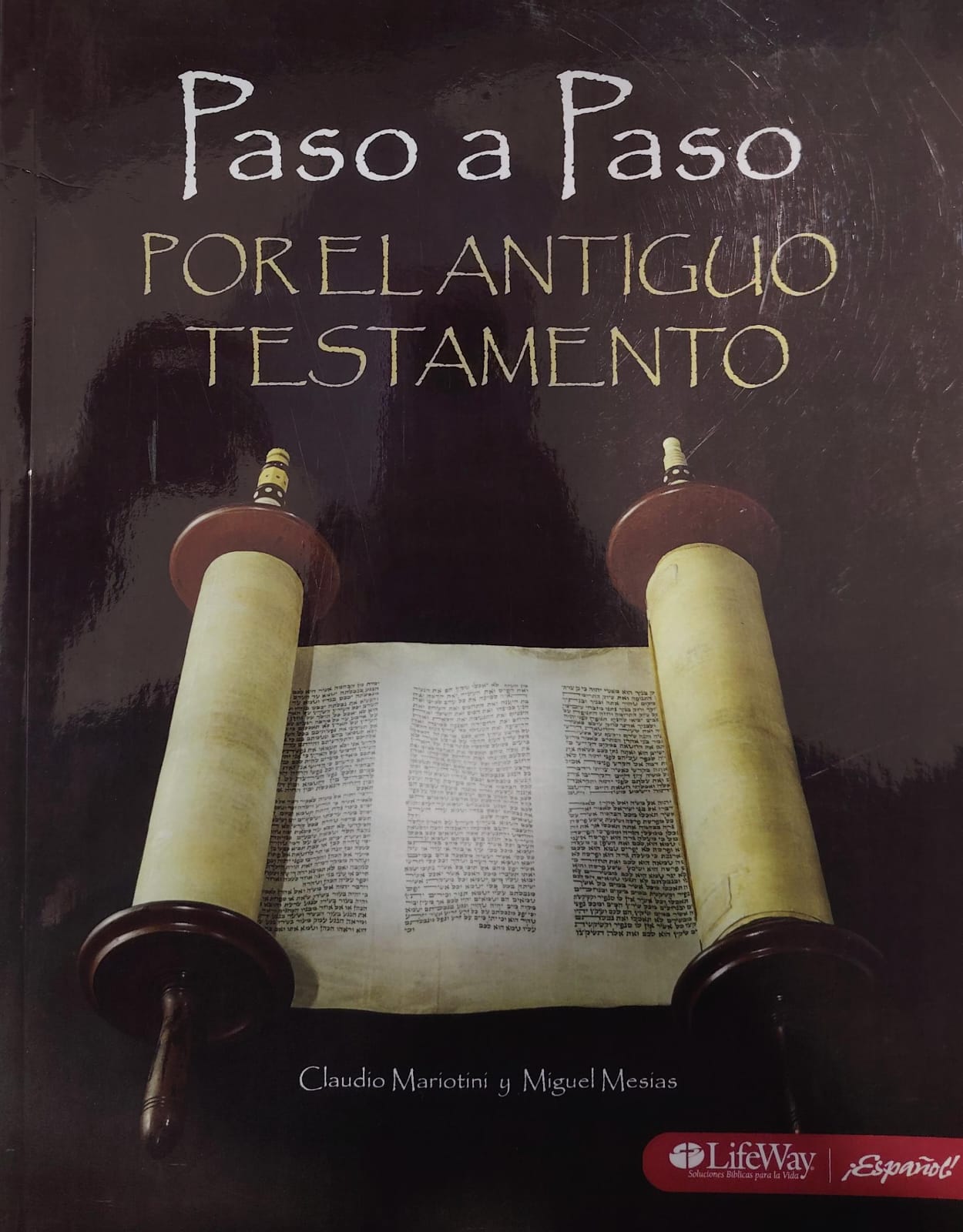 PASO A PASO POR EL ANTIGUO TESTAMENTO