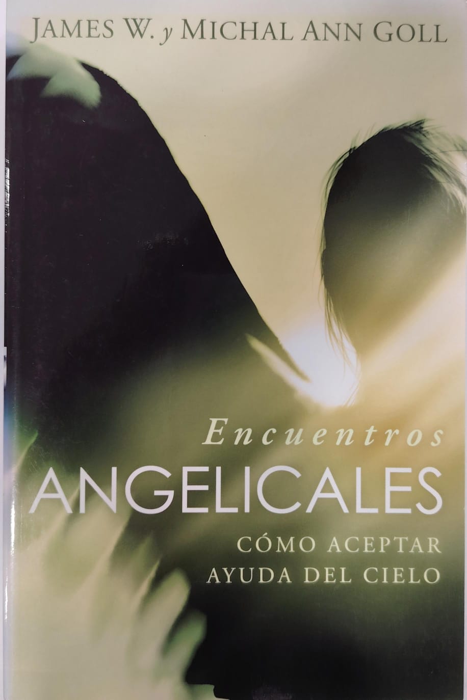 ENCUENTROS ANGELICALES - COMO ACEPTAR AYUDA DEL CIELO