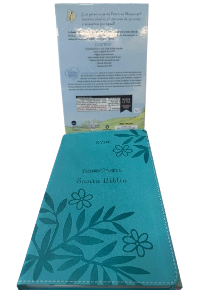 MOMENTOS PRECIOSOS DE SANTA BIBLIA