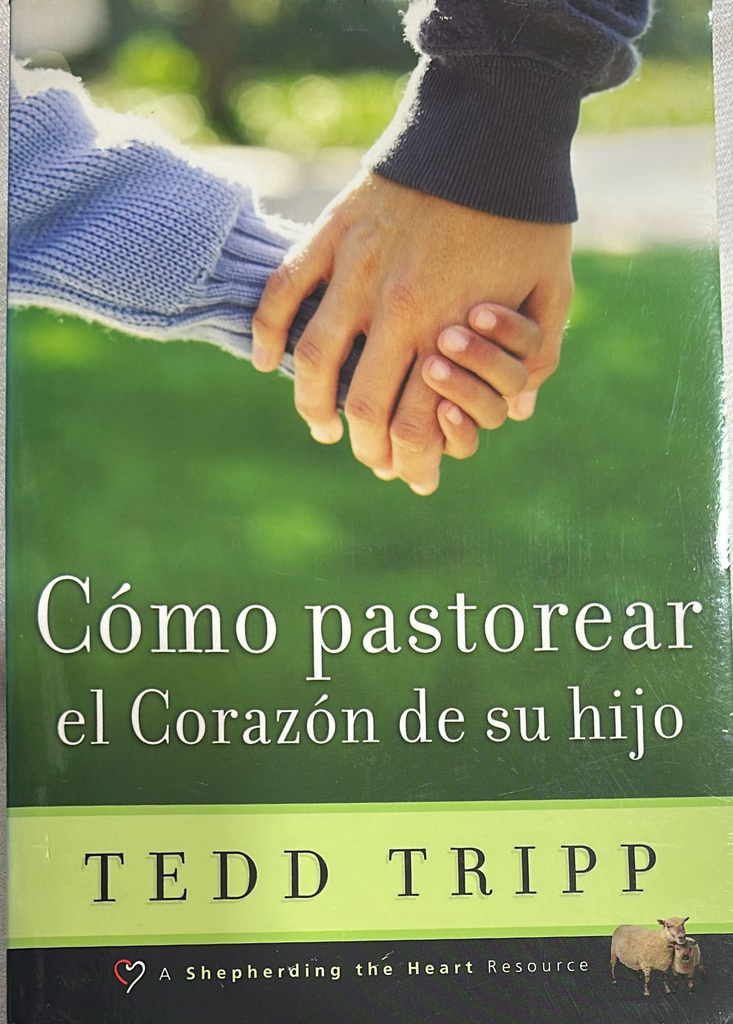 COMO PASTOREAR EL CORAZON DE SU HIJO