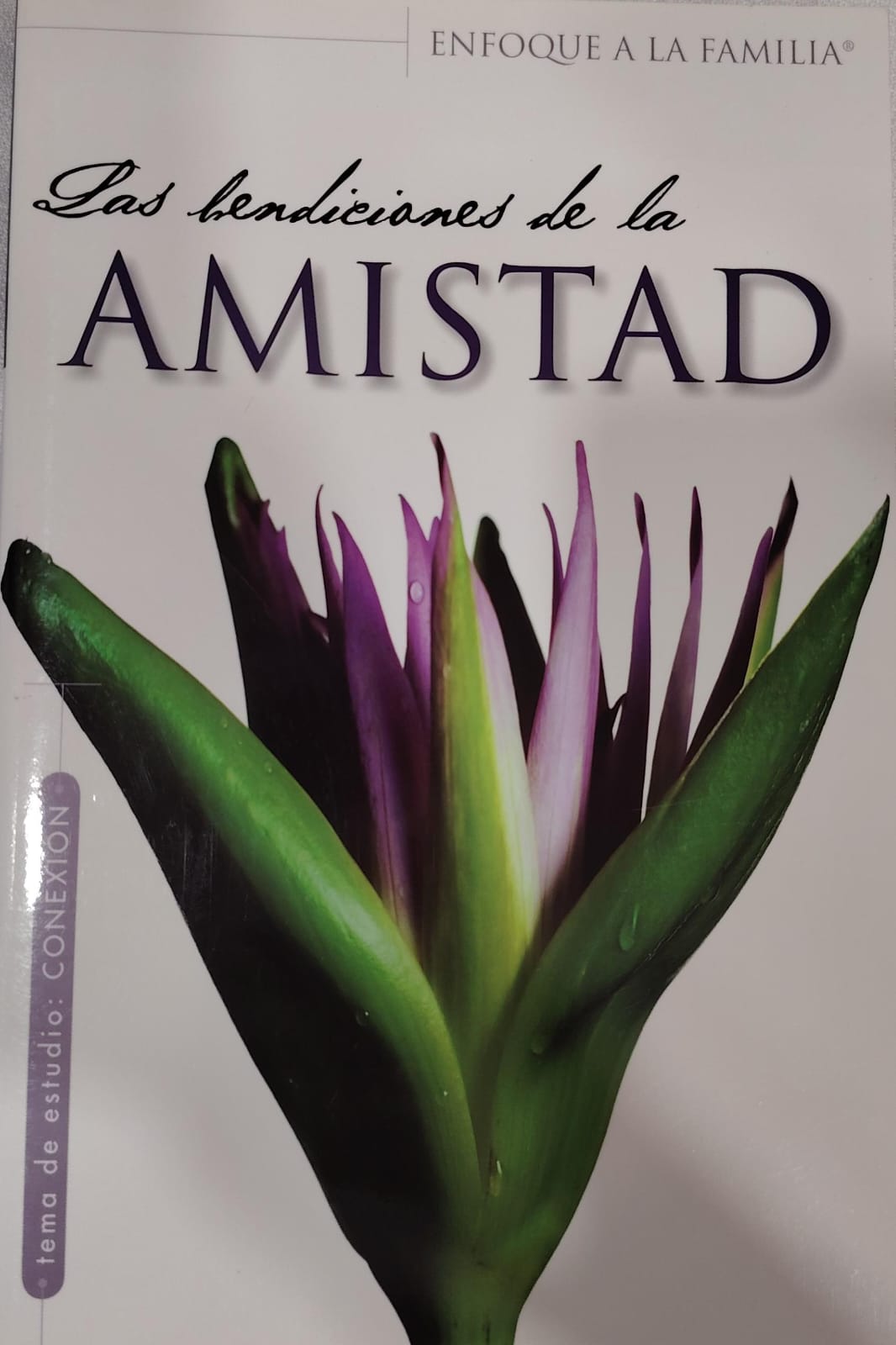 LAS BENDICIONES DE LA AMISTAD