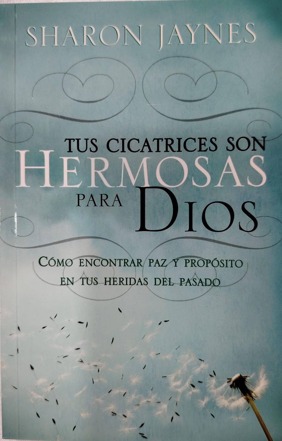 TUS CICATRICES SON HERMOSAS PARA DIOS