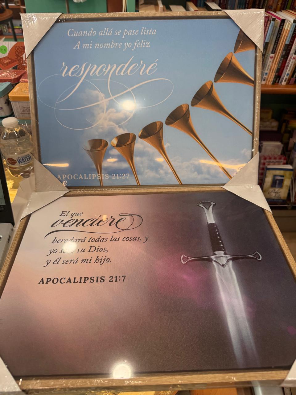 LIENZO CON MARCO DE MADERA DIFERENTES MSM BIBLICOS