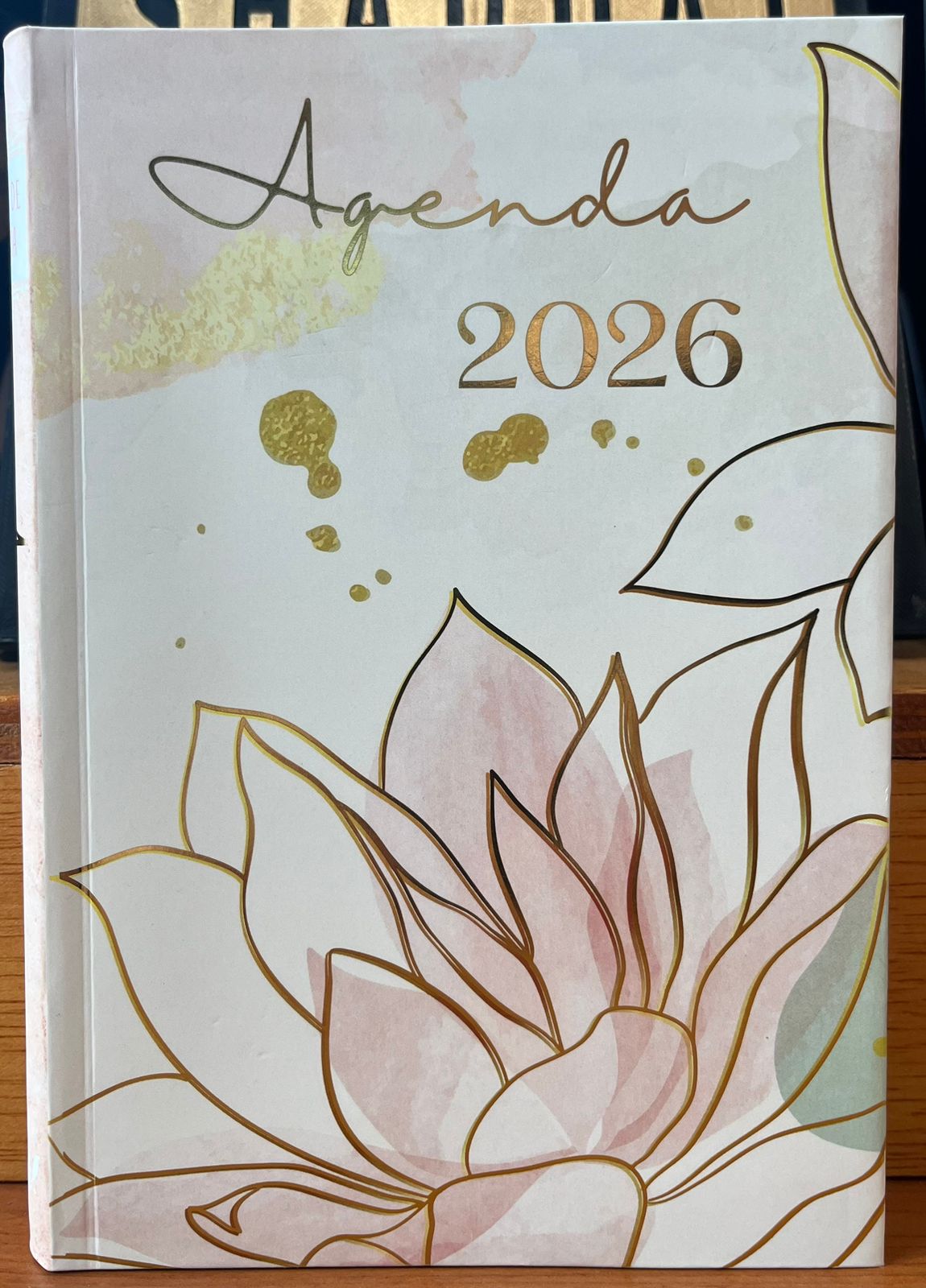 AGENDA TESORO-LOTO ORO