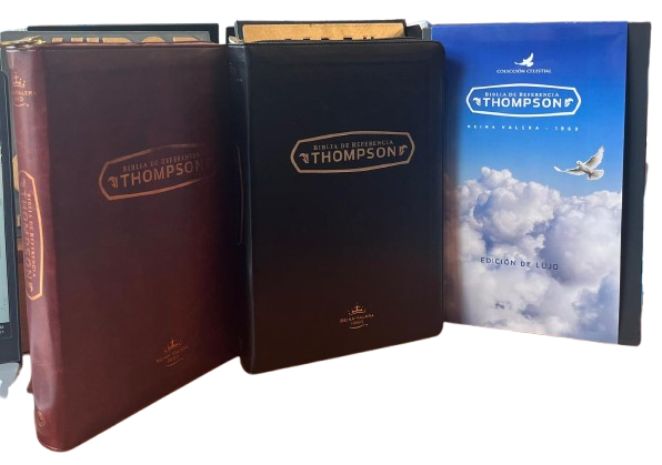 BIBLIA DE REFERENCIA THOMPSON (D)