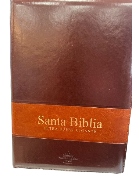 SANTA BIBLIA LETRA SUPER GIGANTE COLOR CAFE Y MARRON