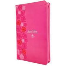 SANTA BIBLIA / EDICION DE PROMESAS / PIEL ESPECIAL FUCSIA