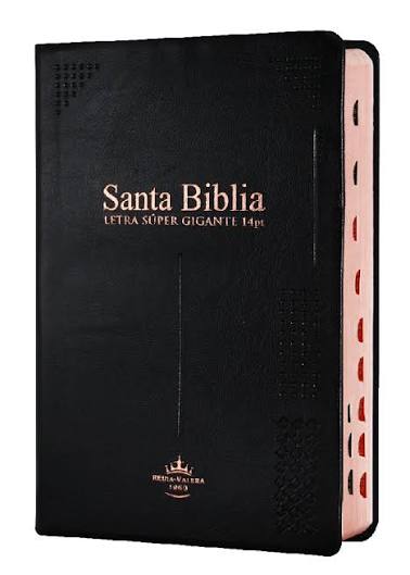 SANTA BIBLIA / LETRA GIGANTE VINIL IND