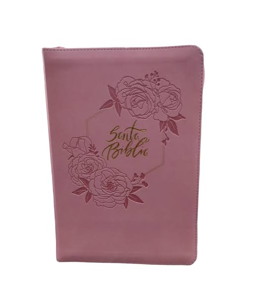 SANTA BIBLIA / LETRA GRANDE / TAMAÑO MANUAL EDICION LIMITADA