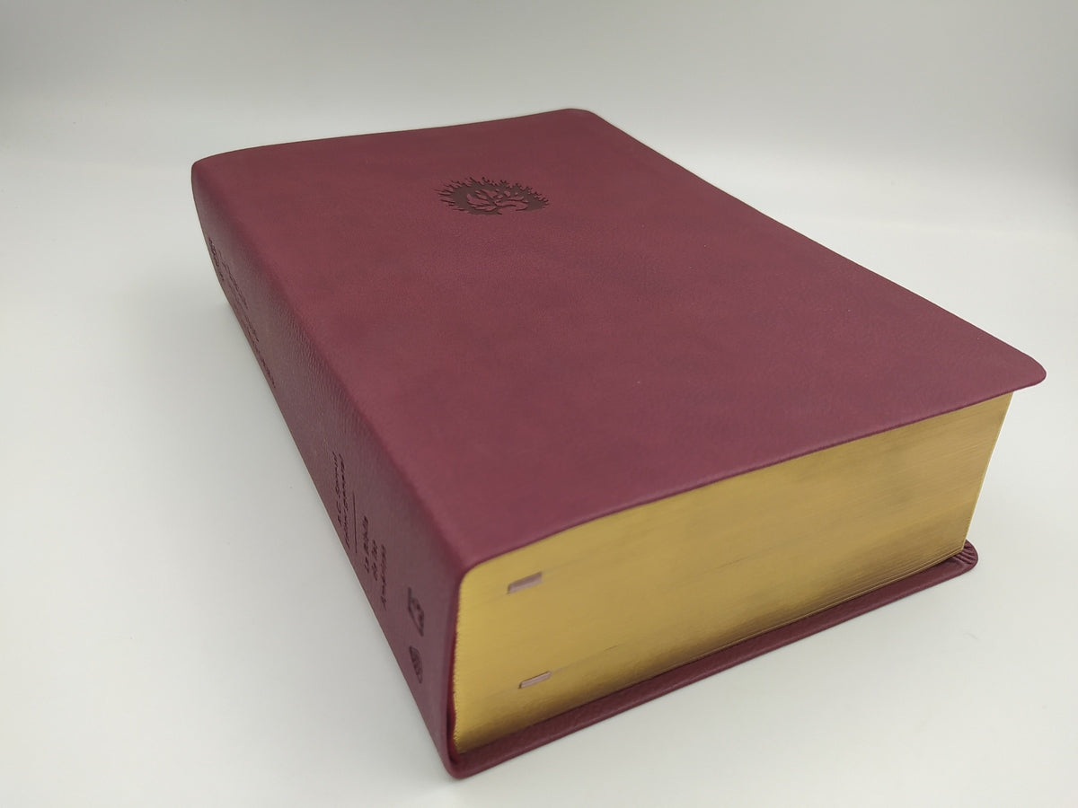 BIBLIA DE ESTUDIO DE LA REFORMA-CIRUELA