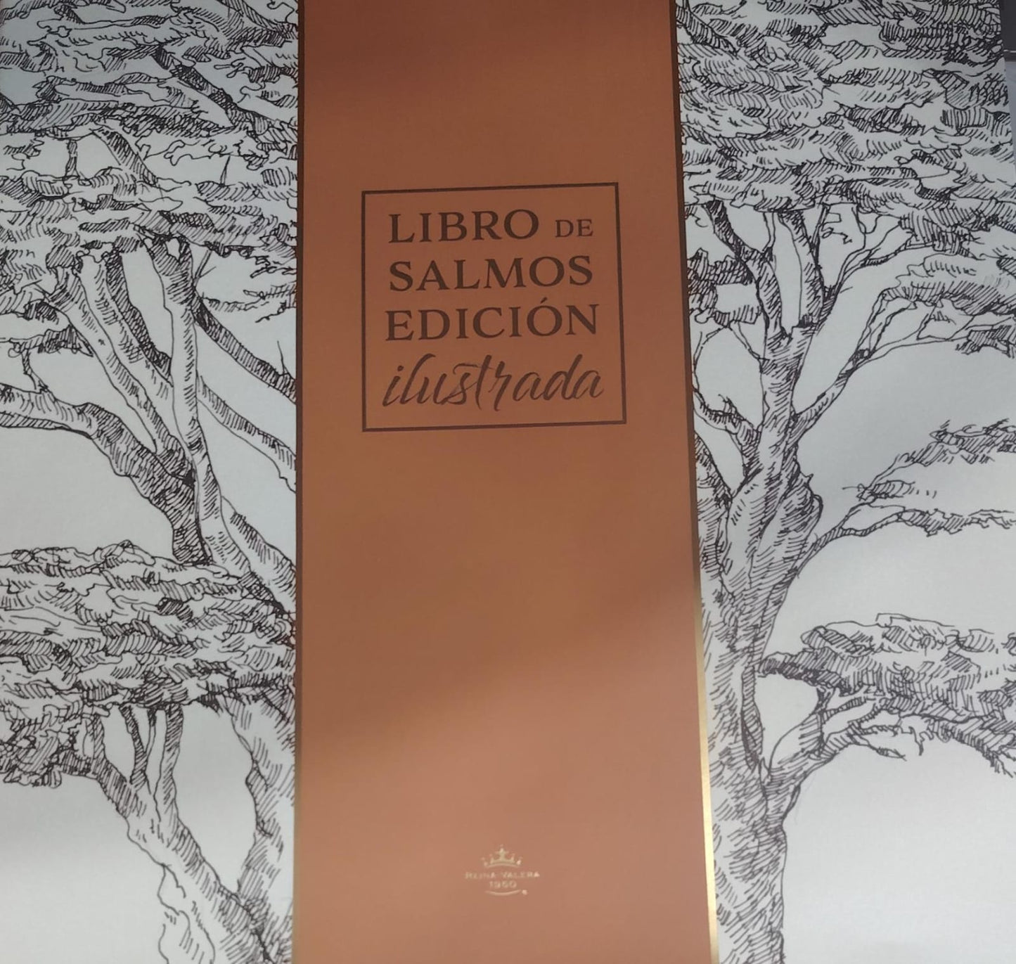 BIBLIA EL CAMPO DE BATALLA DE LA MENTE