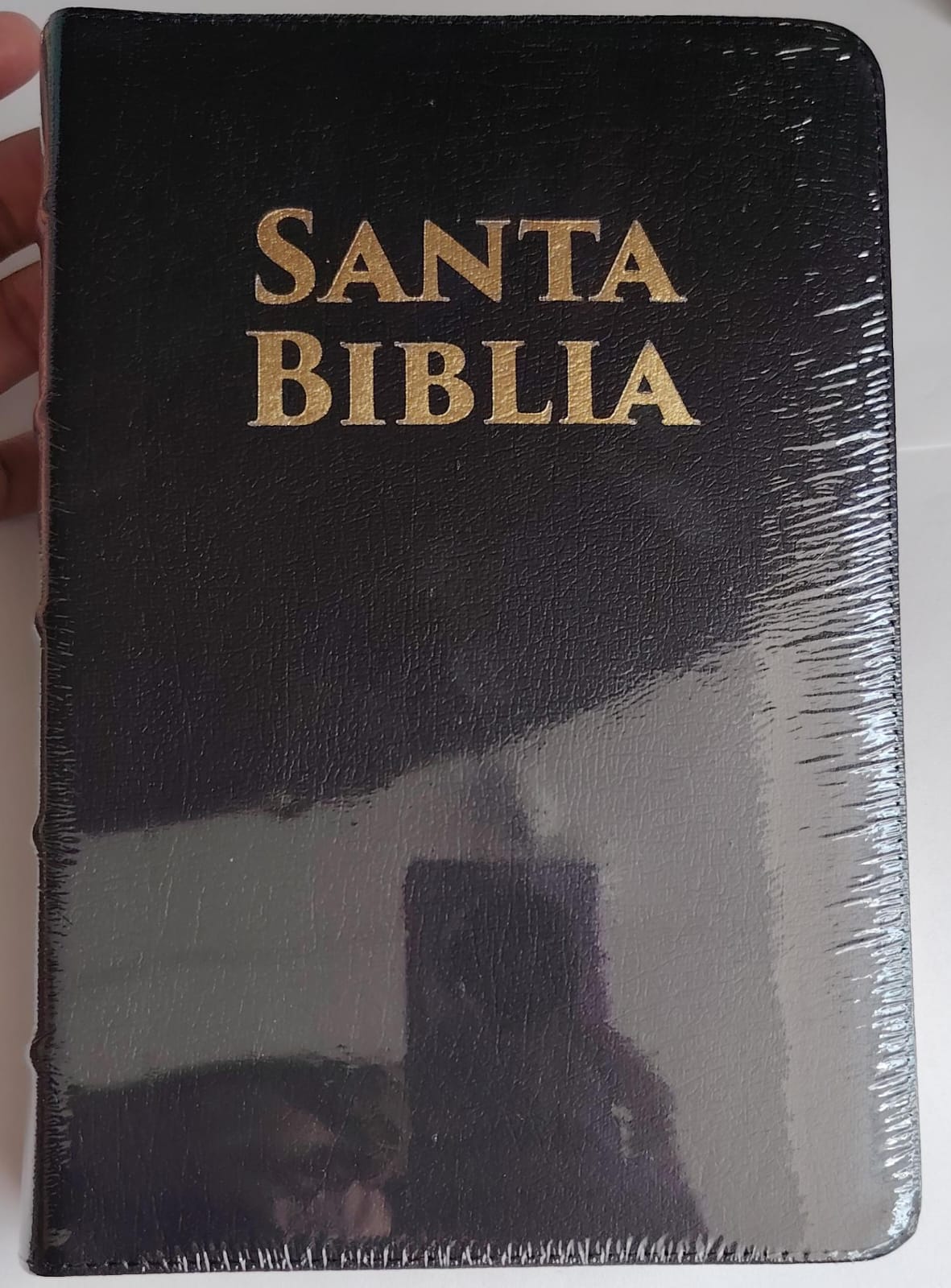SANTA BIBLIA REINA VALERA ACTUALIZADA 2015-IBBG COLOR NEGRO