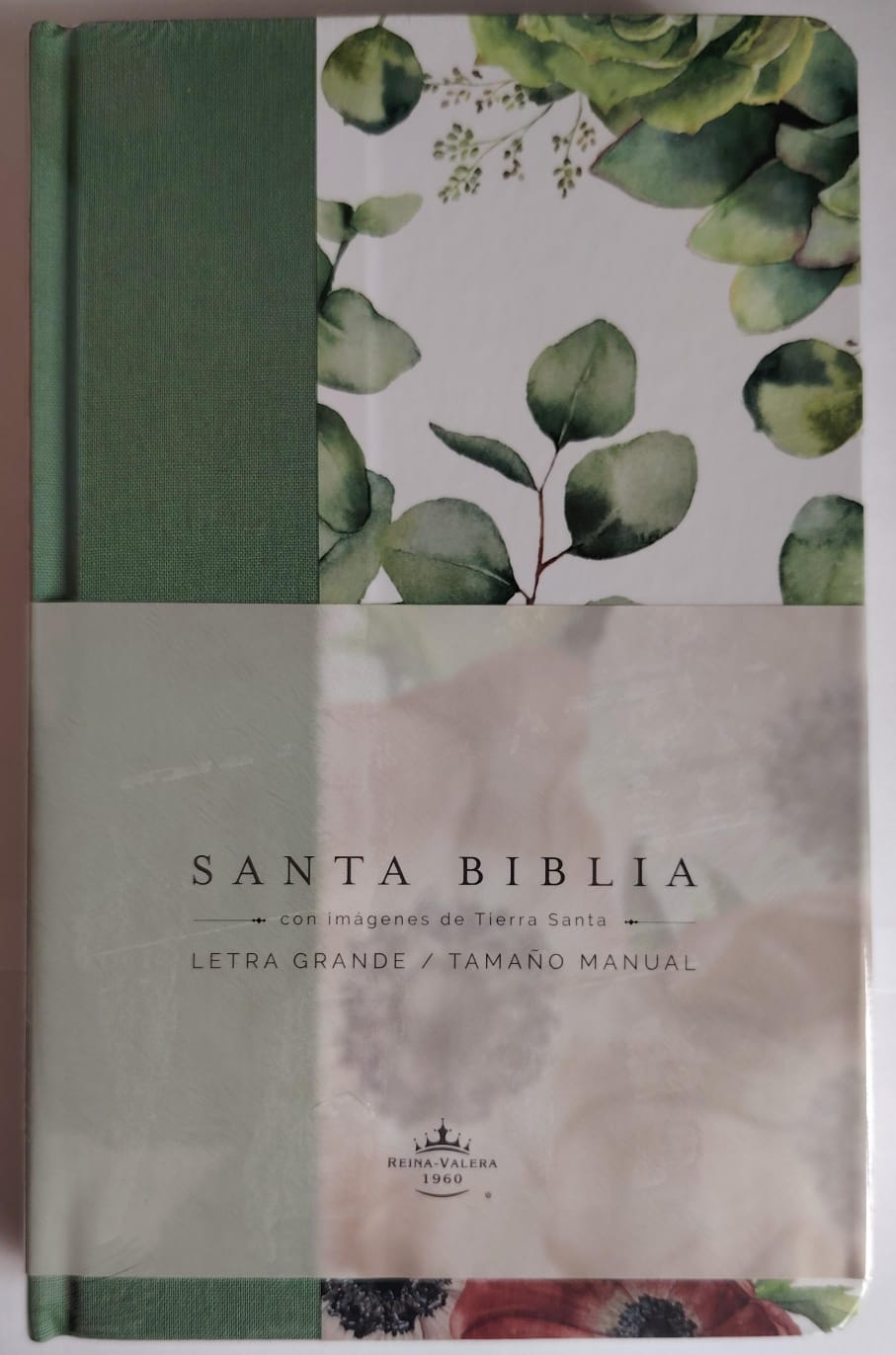 Santa Biblia Reina-Valera 1960: Letra Grande, Tamaño Manual con Imágenes de Tierra Santa (Diseño Botánico