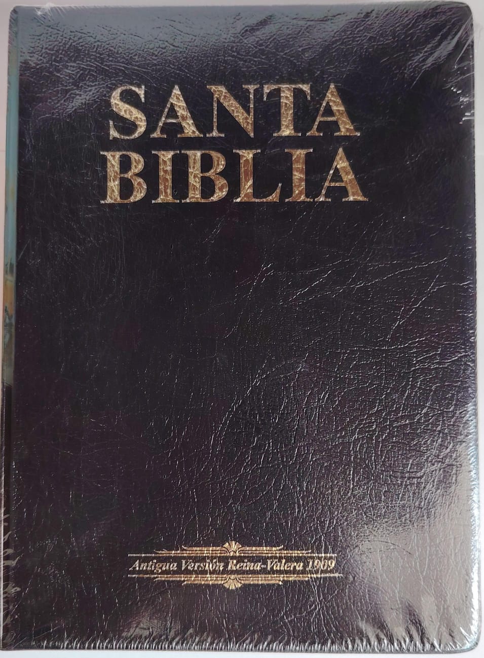 SANTA BIBLIA RVR 1960-PVC VINYL NEGRO/MANUAL