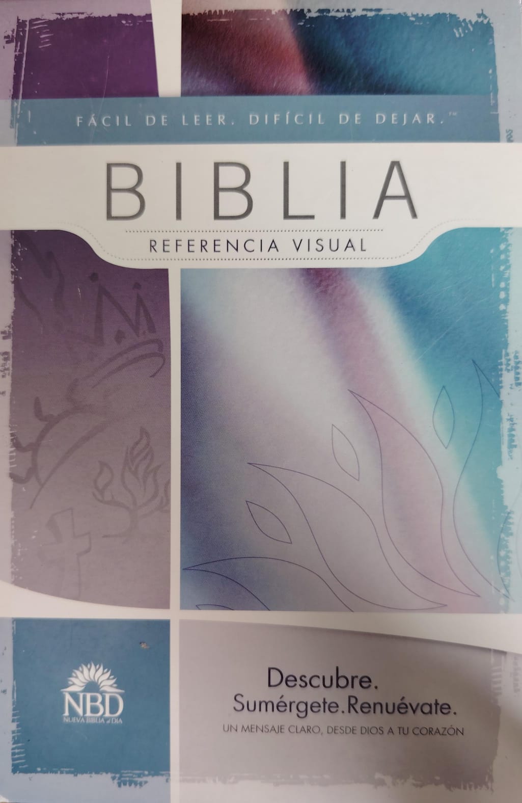 LA BIBLIA PARA LIDERES DE NINOS ADOLESCENTES Y JOVENES