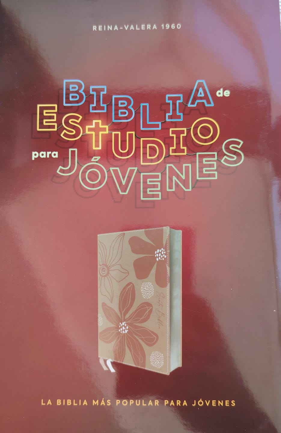 BIBLIA DE PROMESAS EDICION PARA HOMBRES JOVENES