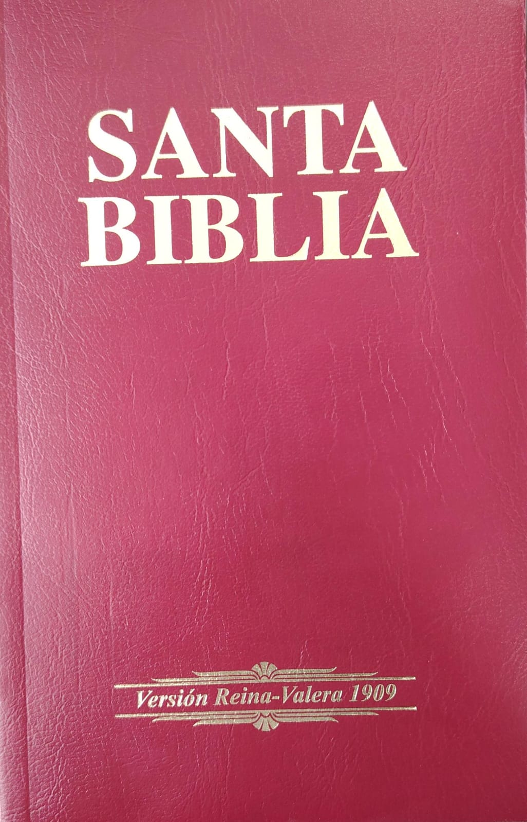 BIBLIA Z NBV-COLOR VINO