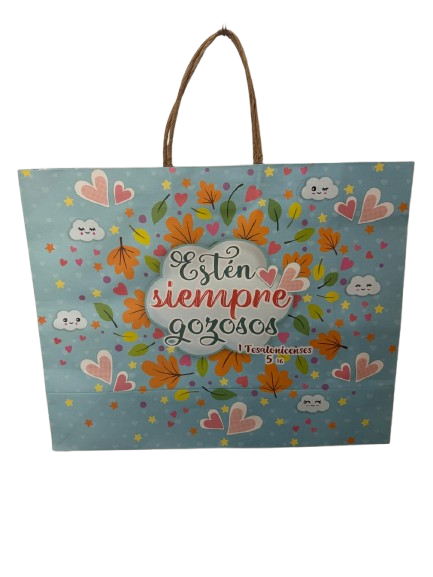 BOLSA DE REGALO GRANDE BG 09