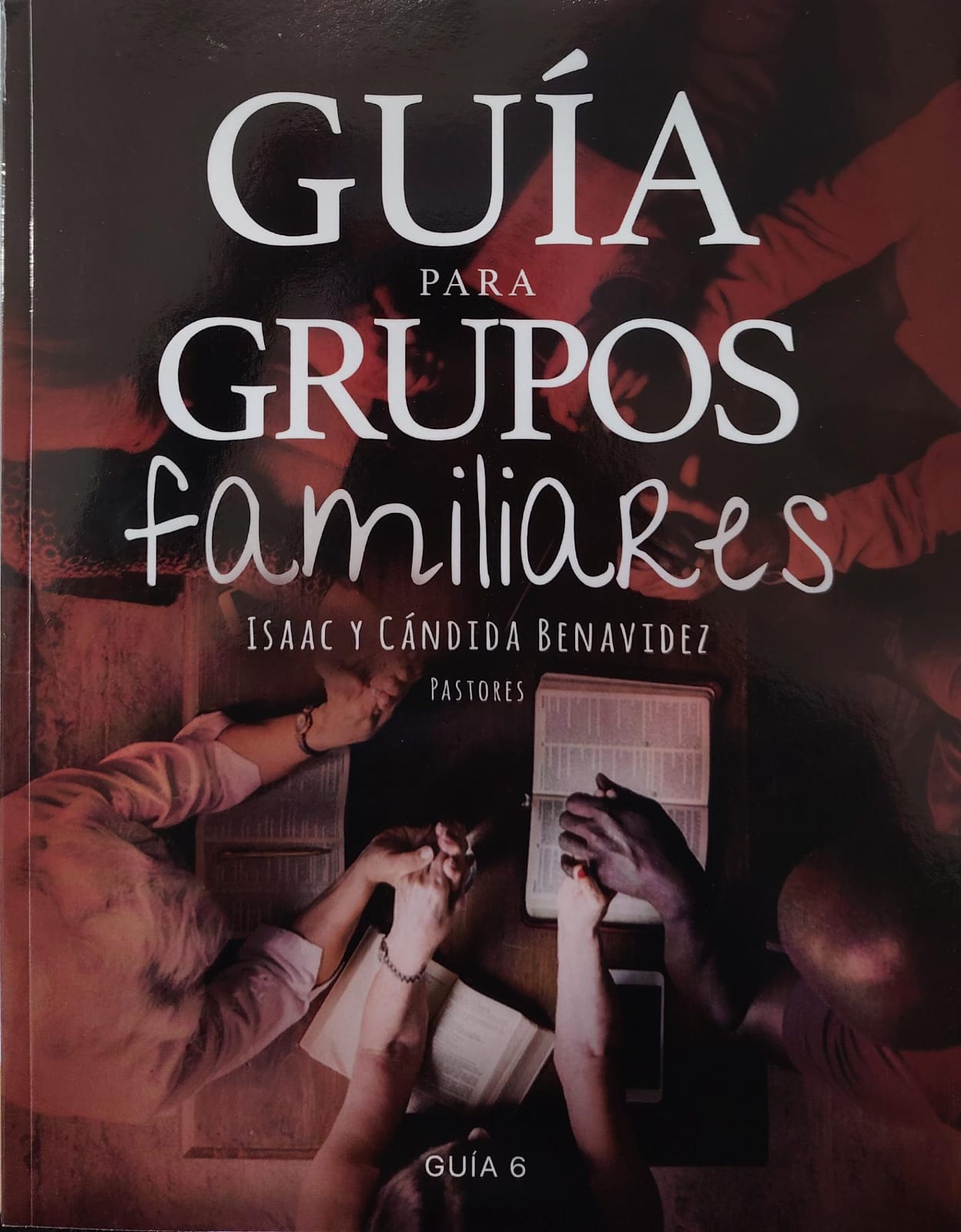 GUIA PARA GRUPOS FAMILIARES - GUIA 6