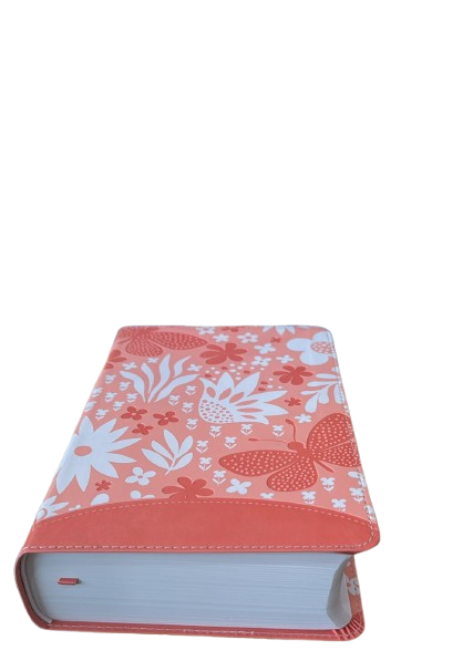 BIBLIA EN LETRA GIGANTE COMPACTA