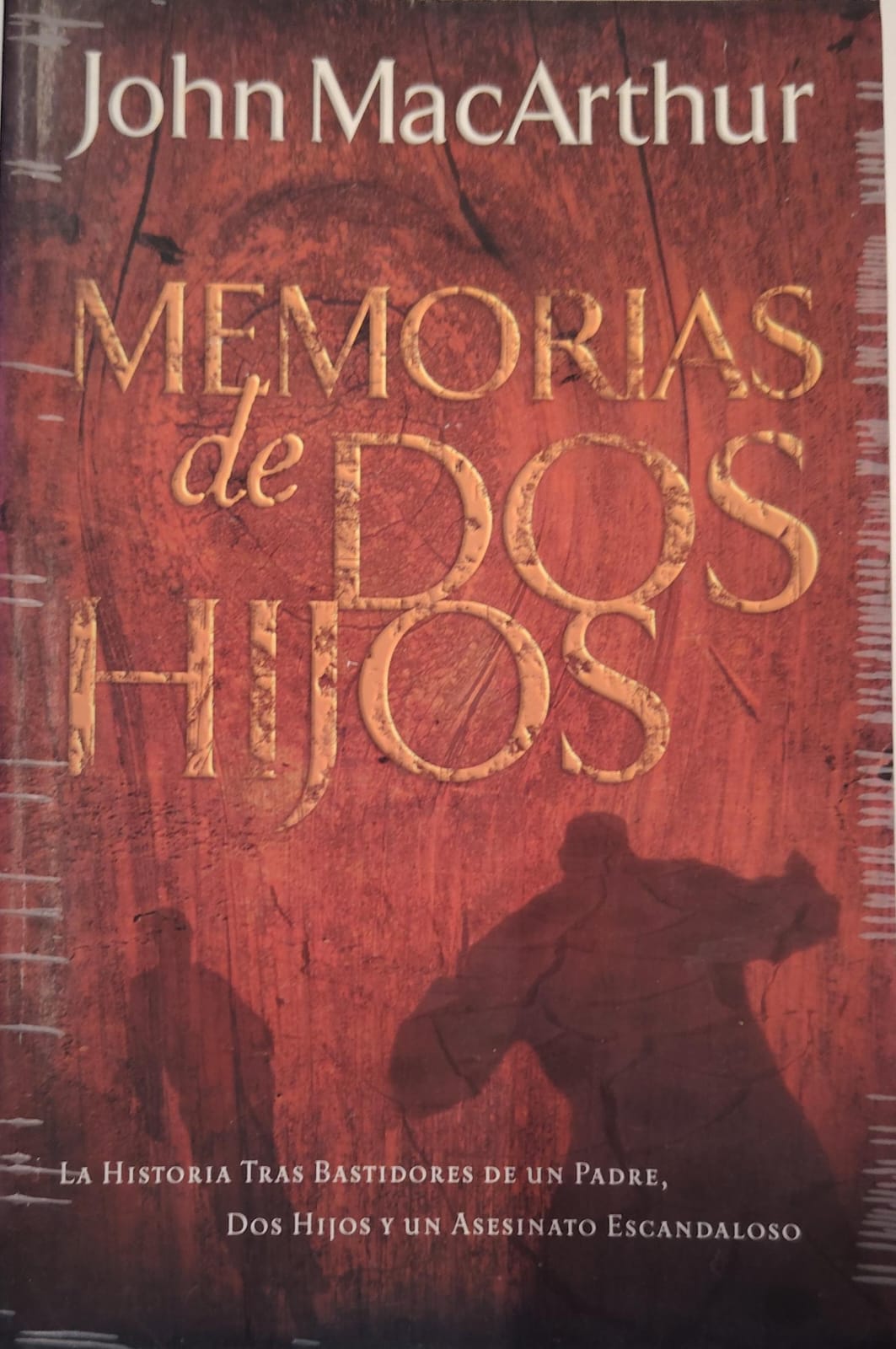 MEMORIAS DE DOS HIJOS