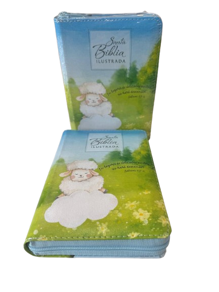 SANTA BIBLIA ILUSTRADA