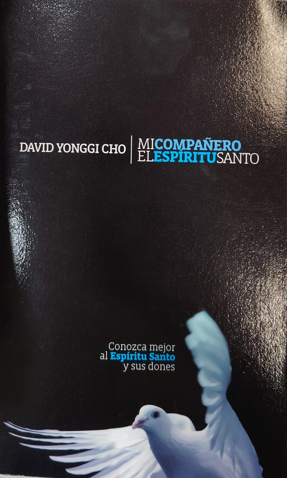 MI COMPAÑERO EL ESPÍRITU SANTO