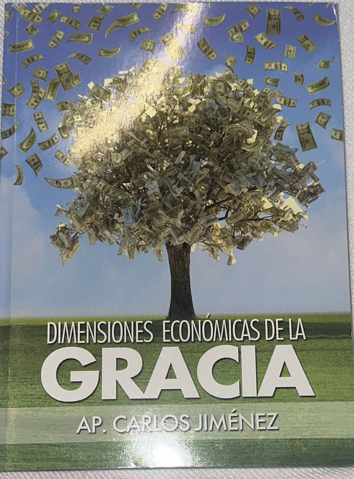 DIMENSIONES ECONOMICAS DE LA GRACIA