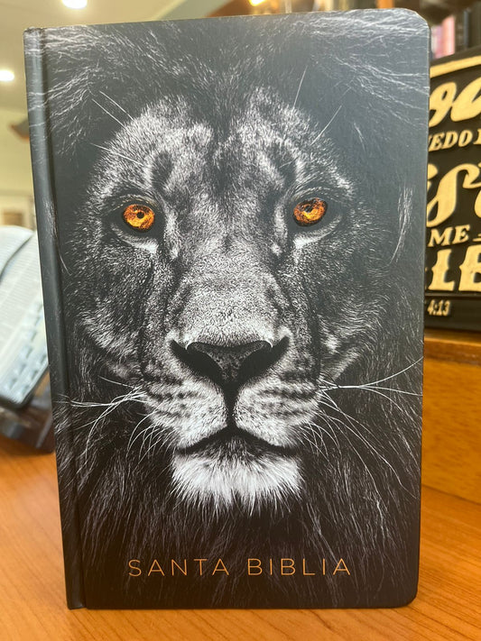 BIBLIA IMAGENES TIERRA SANTA LEON