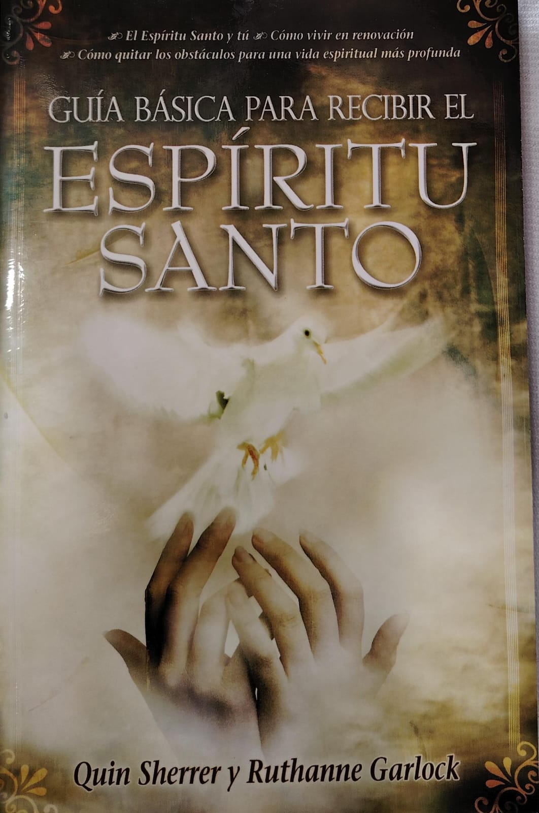GUIA BASICA PARA RECIBIR EL ESPIRITU SANTO(D)