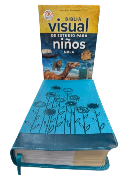 BIBLIA VISUAL DE ESTUDIO