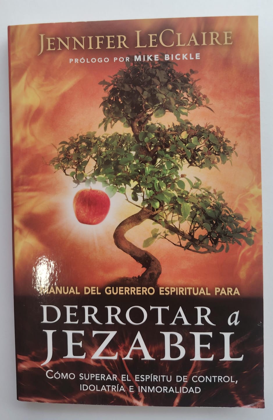 MANUAL DE GUERRERO ESPIRITUAL PARA DERROTAT A JEZABETH