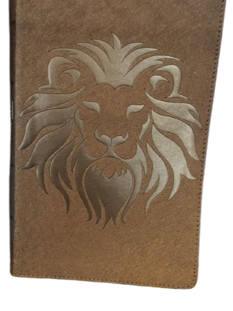 BIBLIA VISUAL DE ESTUDIO