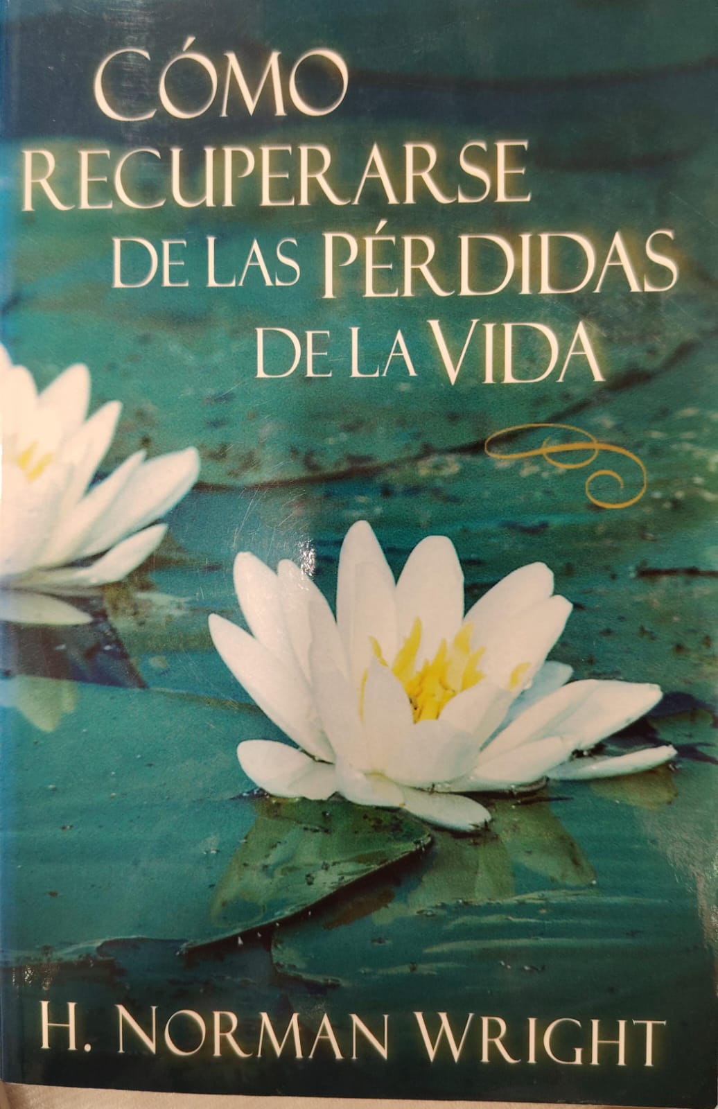 COMO RECUPERARSE DE LAS PERDIDAS DE LA VIDA