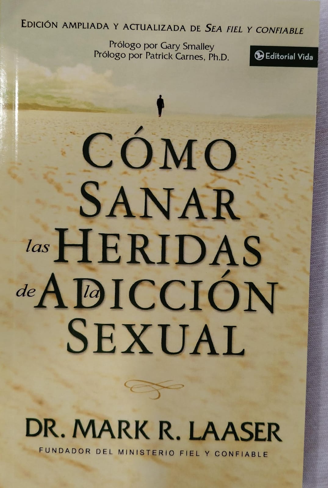 COMO SANAR LAS HERIDAS DE LA ADICION SEXUAL