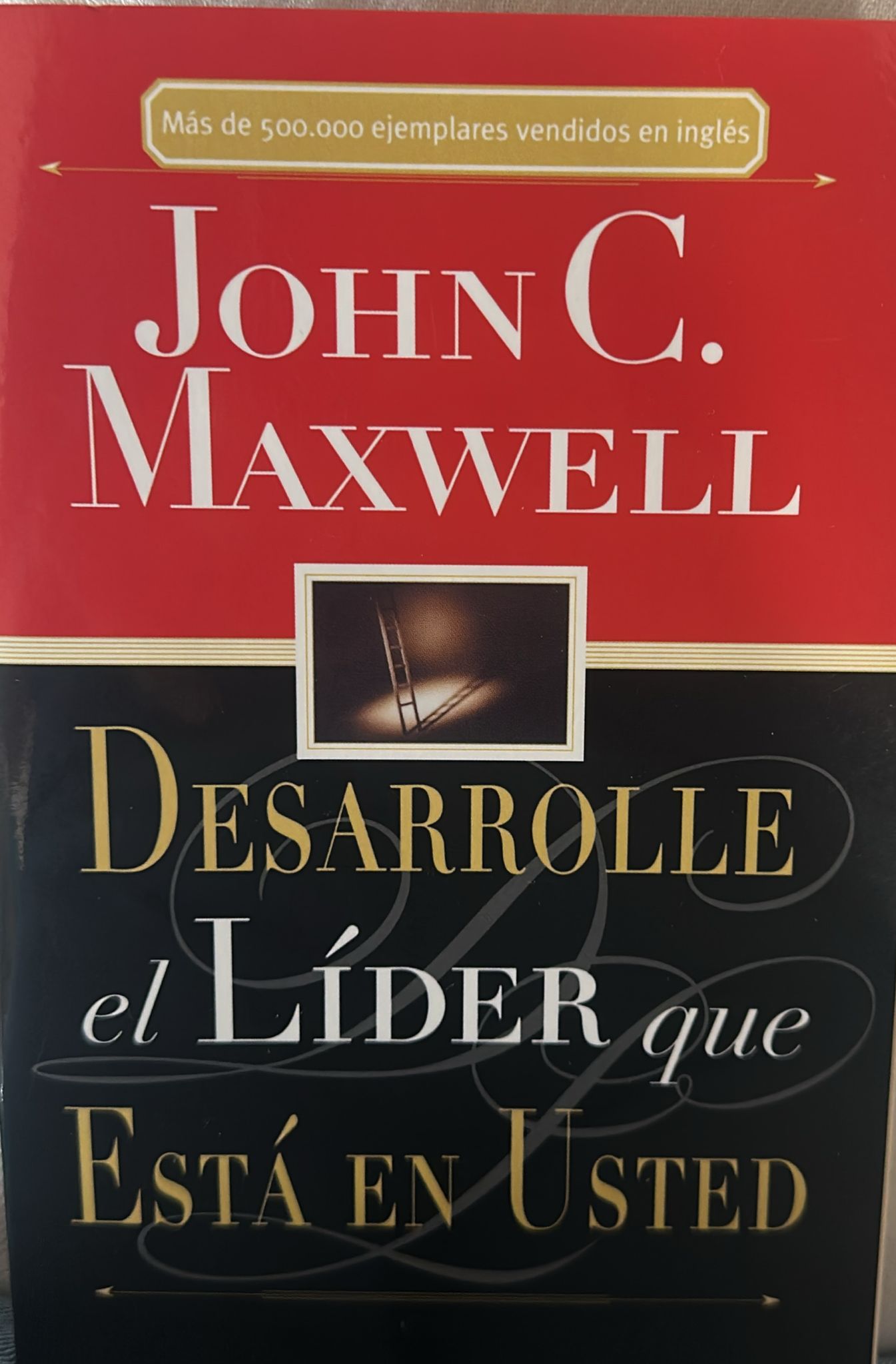 DESARROLLE EL LIDER QUE ESTA EN USTED