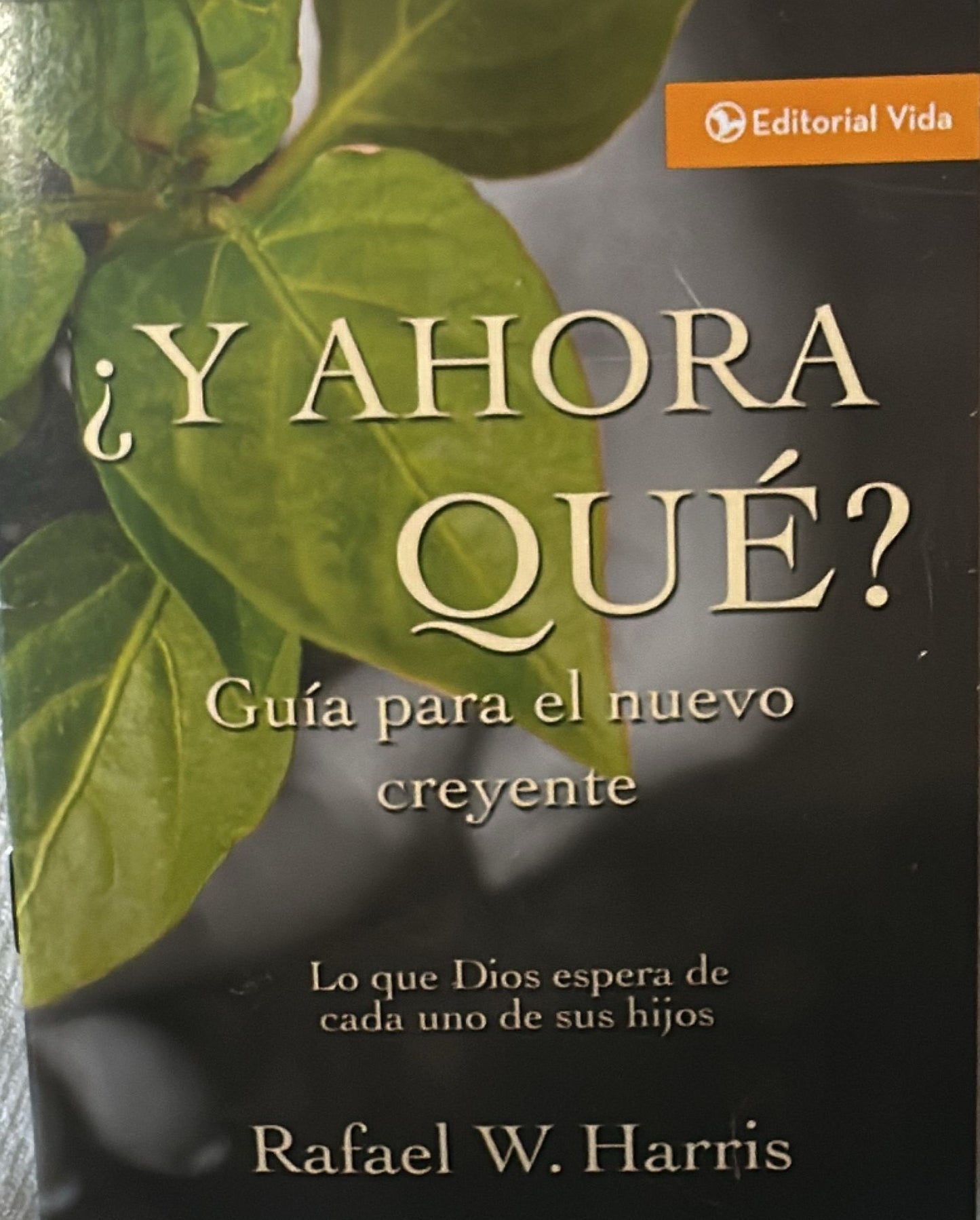 SON IGUALES TODAS LAS RELIGIONES