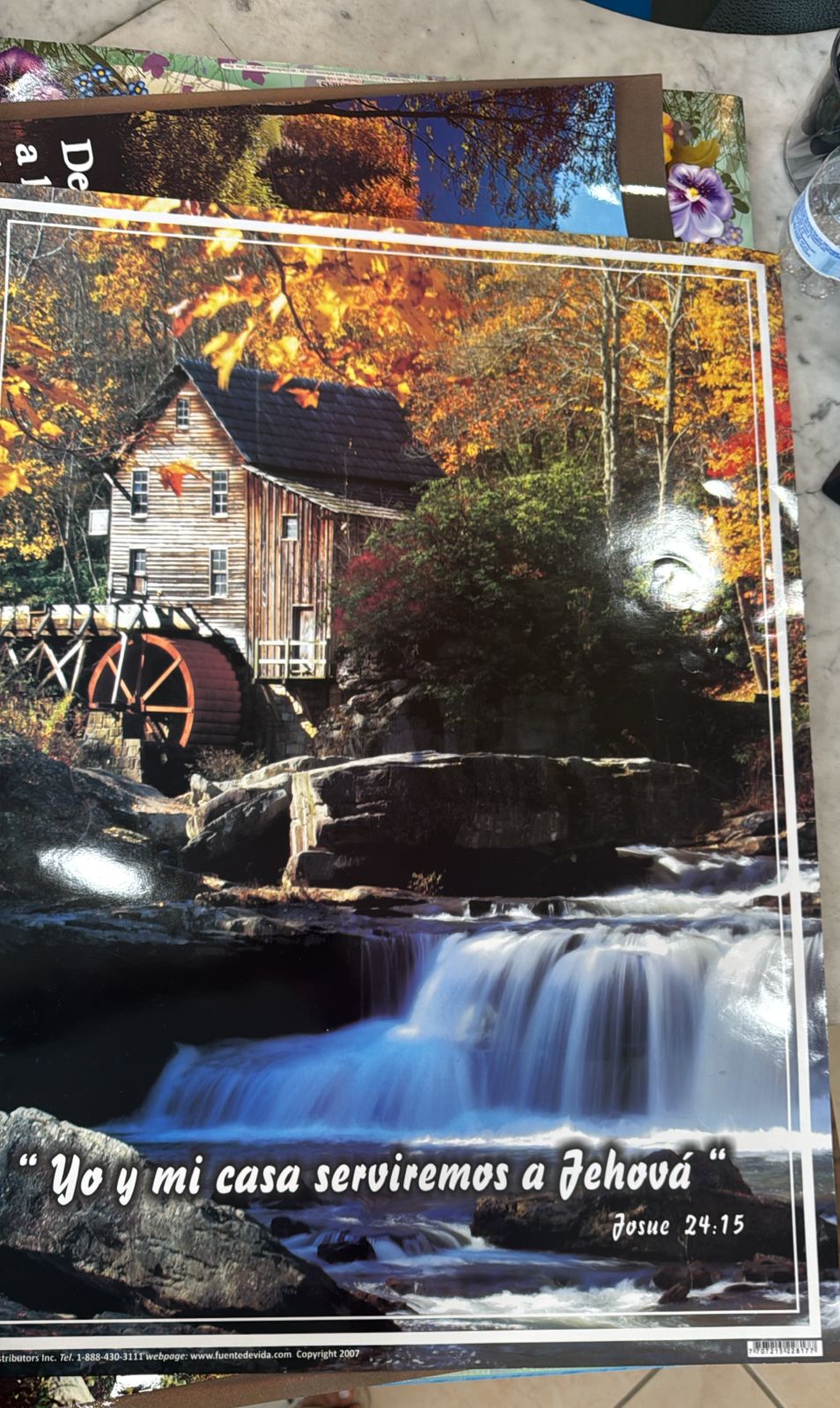 AFICHES CON MATERIAL DE CARTON PARA PAREADO