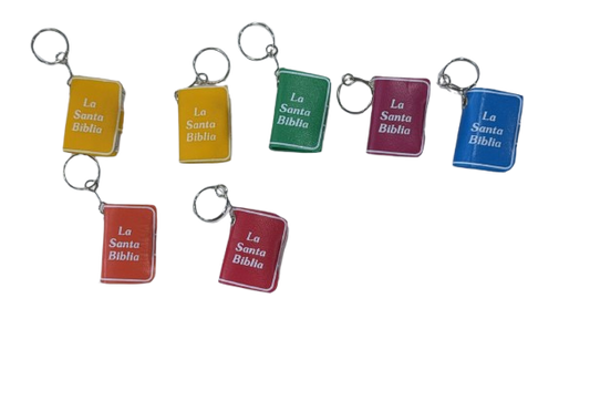 LLAVEROS BIBLIAS DE COLORES
