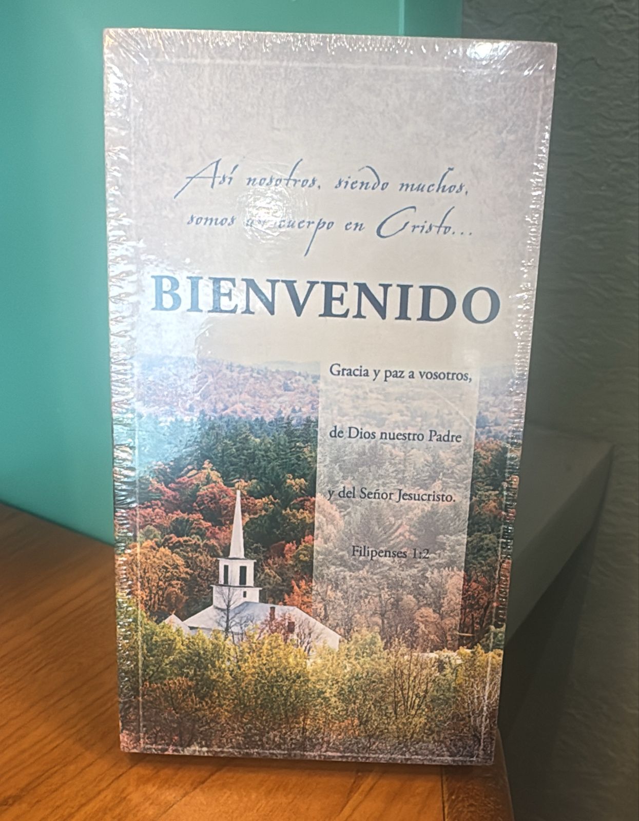 PAQUETES DE 50 TARJETAS DE INVITADOS