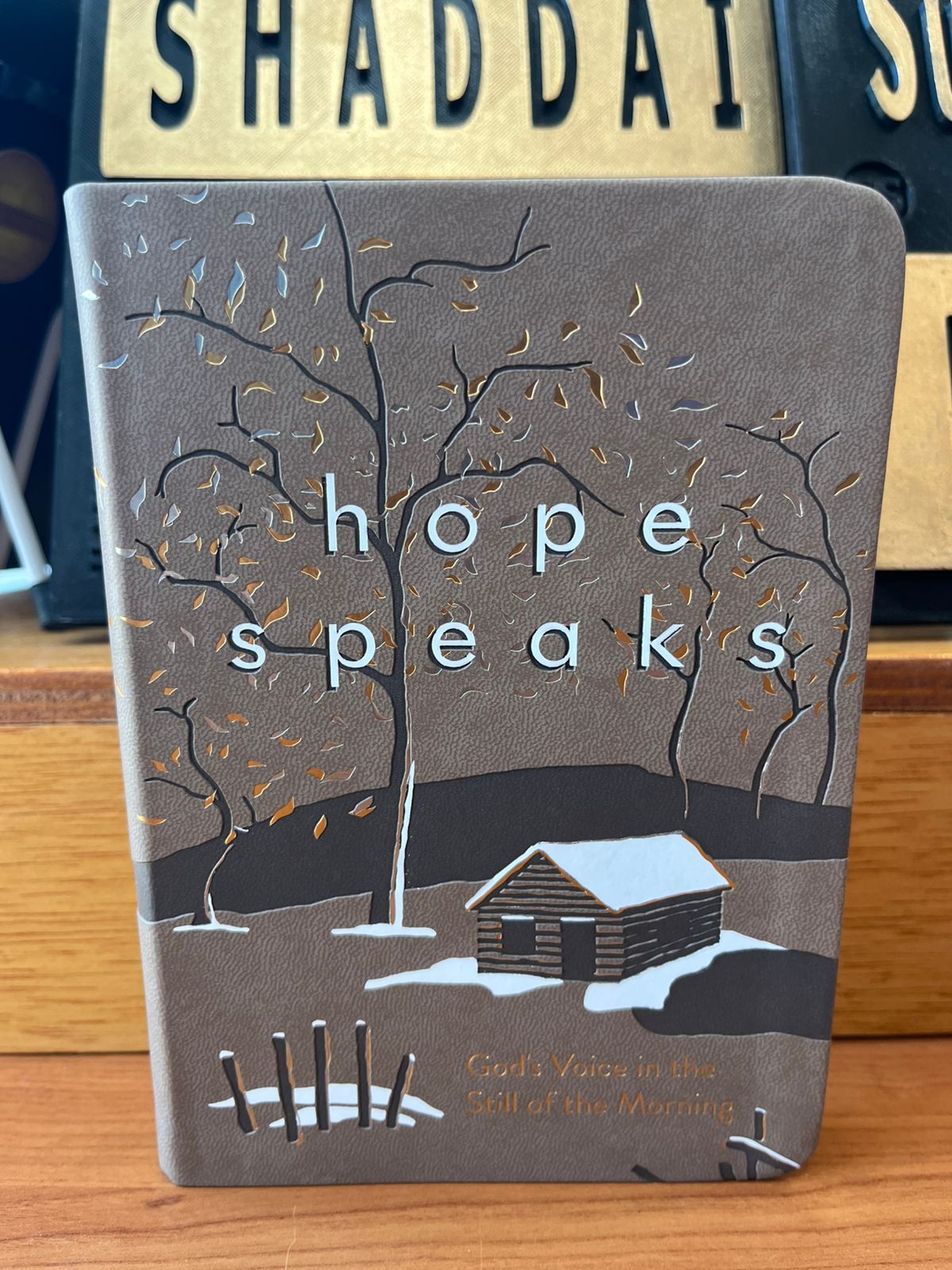 HOPE APEAKS