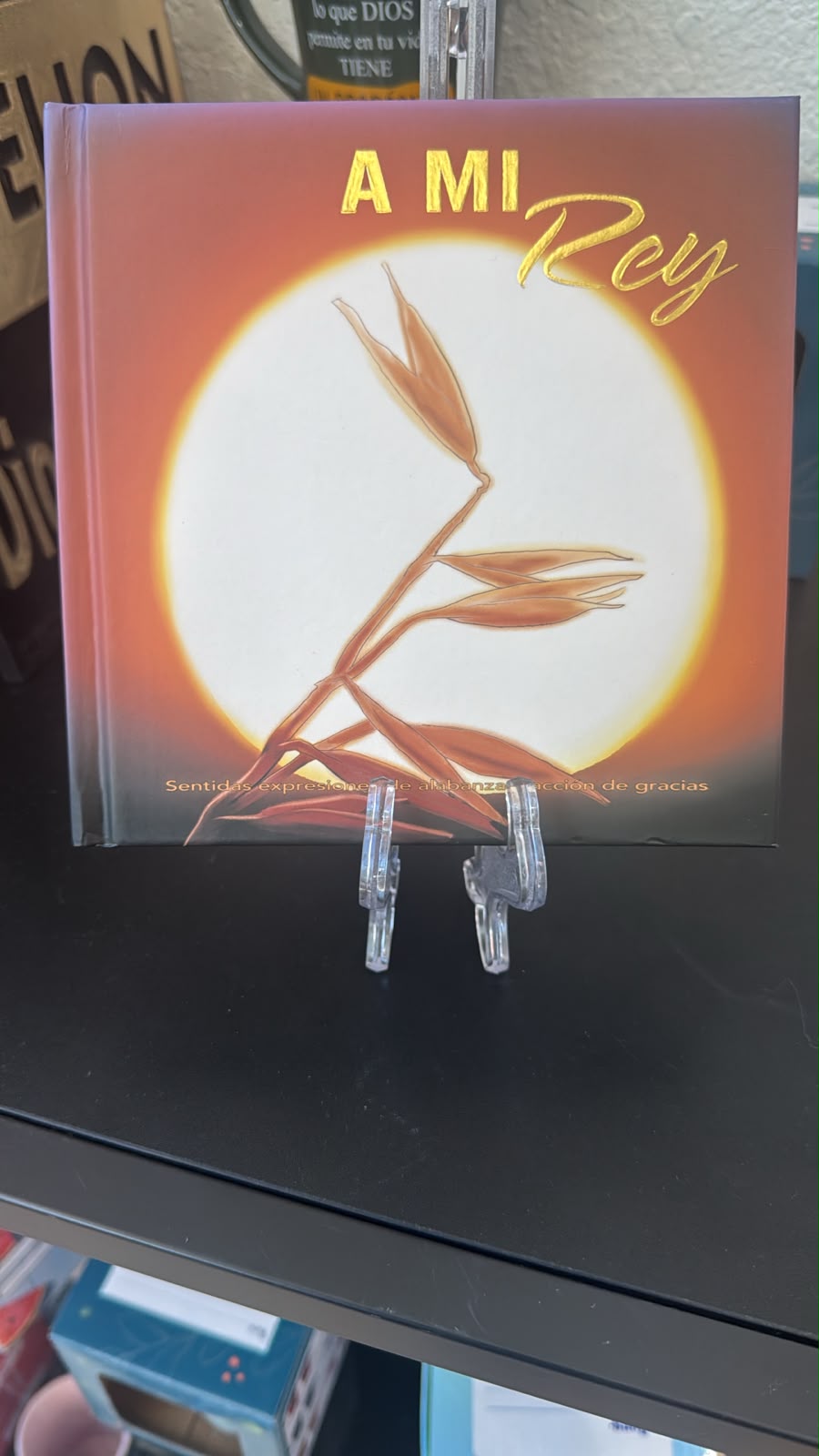 LIBROS CON TEMAS VARIADOS A MI REY
