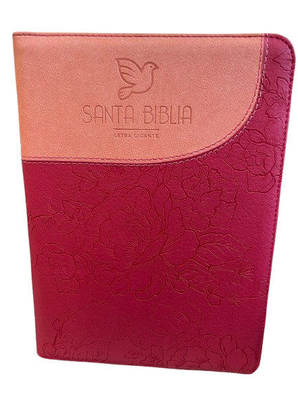 SANTA BIBLIA / LETRA GIGANTE / COLOR ROSA Y FUCSIA