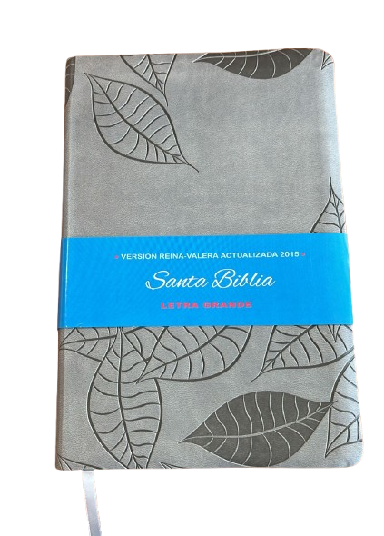 SANTA BIBLIA GRIS RVR ACTUALIZADA