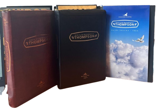 BIBLIA DE REFERENCIA THOMPSON (D)