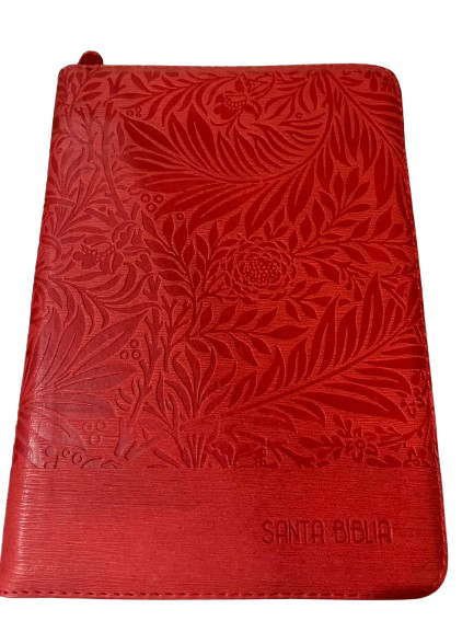 SANTA BIBLIA COLOR ROJA LABRADA
