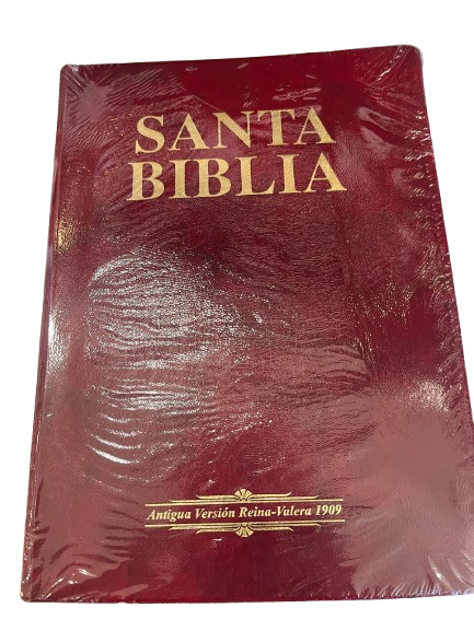 PASTA FLEXIBLE SANTA BIBLIA SENCILLA